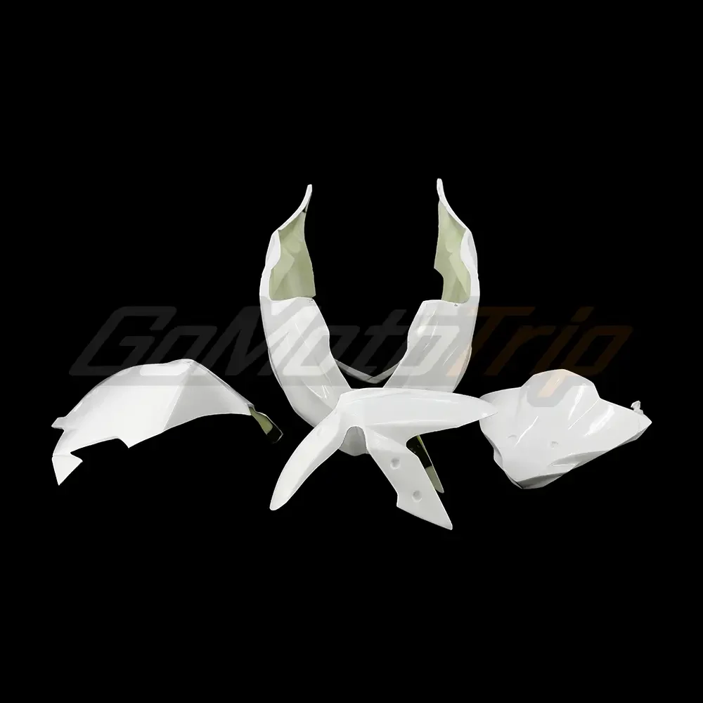Kawasaki Ninja 300 race bodywork — supplier photo