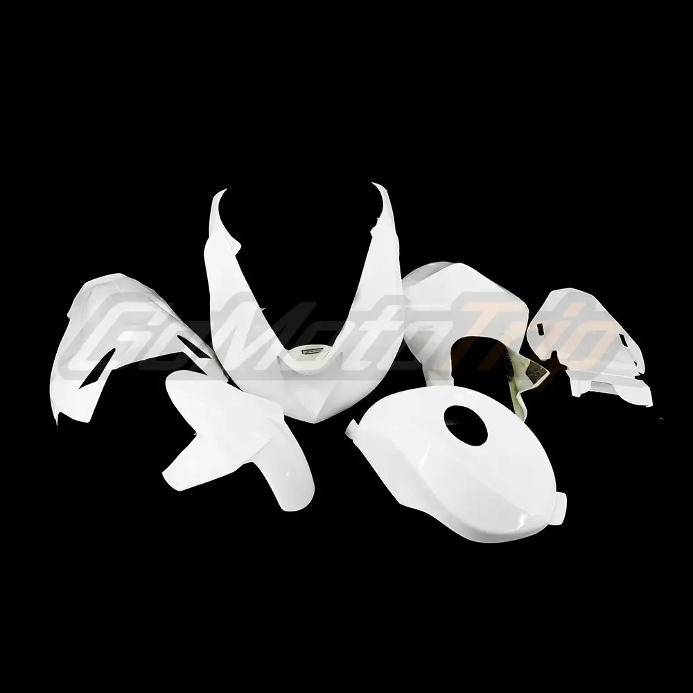 Kawasaki ZX-10R race bodywork / 2006-2007 — supplier photo